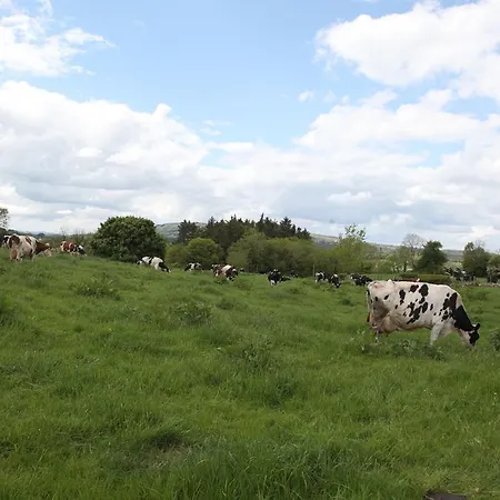 John Joe's Self Catering Сasa de vacaciones Blacklion