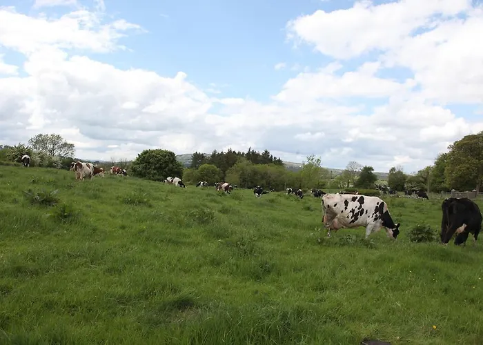 John Joe's Self Catering Feriehus Blacklion